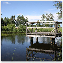 Beobachtungssteg naturpark, see, steg