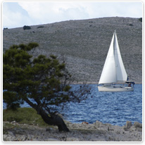 Segeln zwischen den Inseln der Adria kroatien, adria, segeln, insel, baum