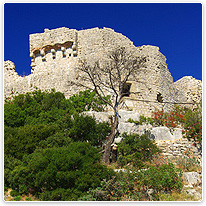 Ruine auf Ugljan ugljan, ruine, insel, adria, kroatien